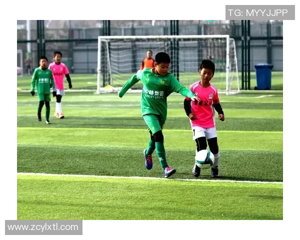 足球星赫成长历程与赛场荣耀全面解读与未来发展展望