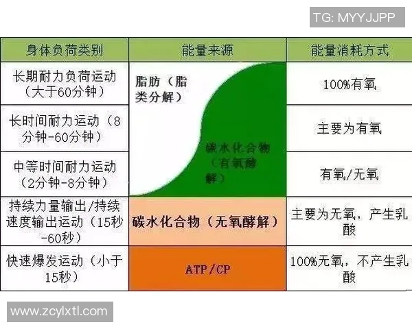 足球球星如何通过科学饮食提升竞技状态与身体素质的秘诀