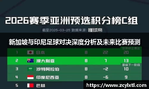 新加坡与印尼足球对决深度分析及未来比赛预测