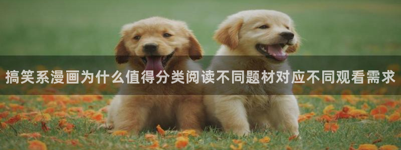漫画屋官网入口