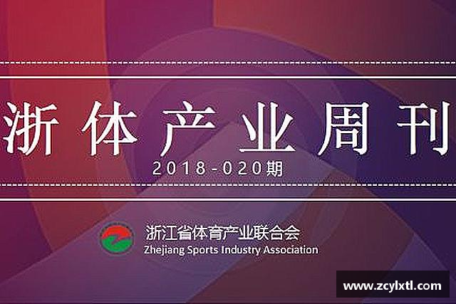 了解BG大游